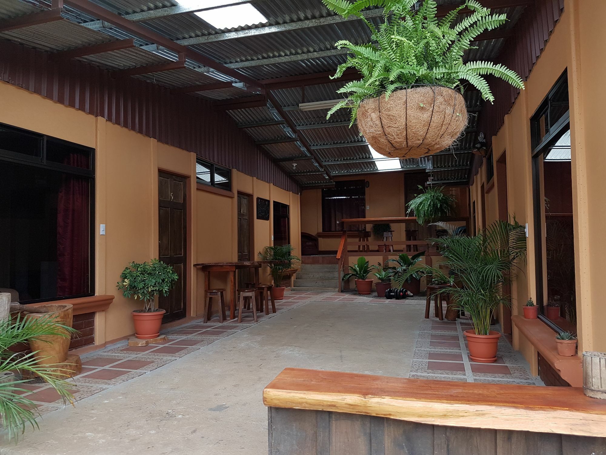Greemount Hotel Monteverde Ngoại thất bức ảnh