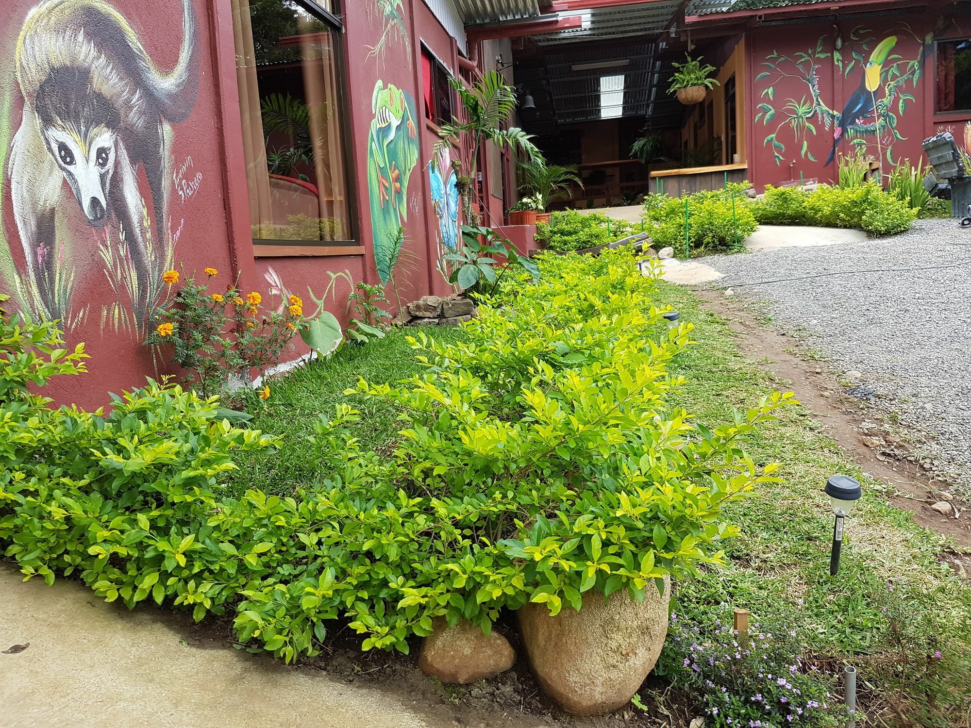 Greemount Hotel Monteverde Ngoại thất bức ảnh